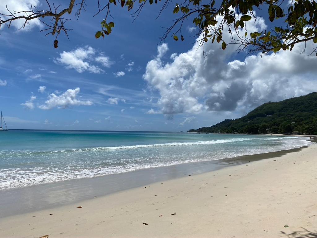 Beau Bamboo Apartment Beau Vallon  Exterior photo